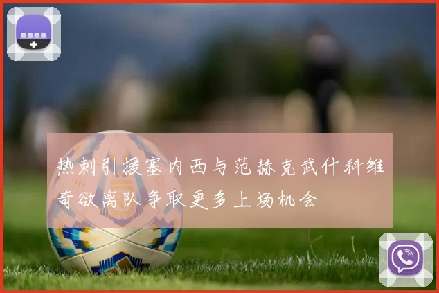 热刺引援塞内西与范赫克武什科维奇欲离队争取更多上场机会